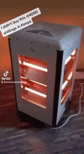 1600W 4-Sided Quartz Heater - Instant Warmth, 4 Modes, 39cm(1.3ft) H, 22cm(0.7ft) W, 85% Metal, for Homes in Kenya