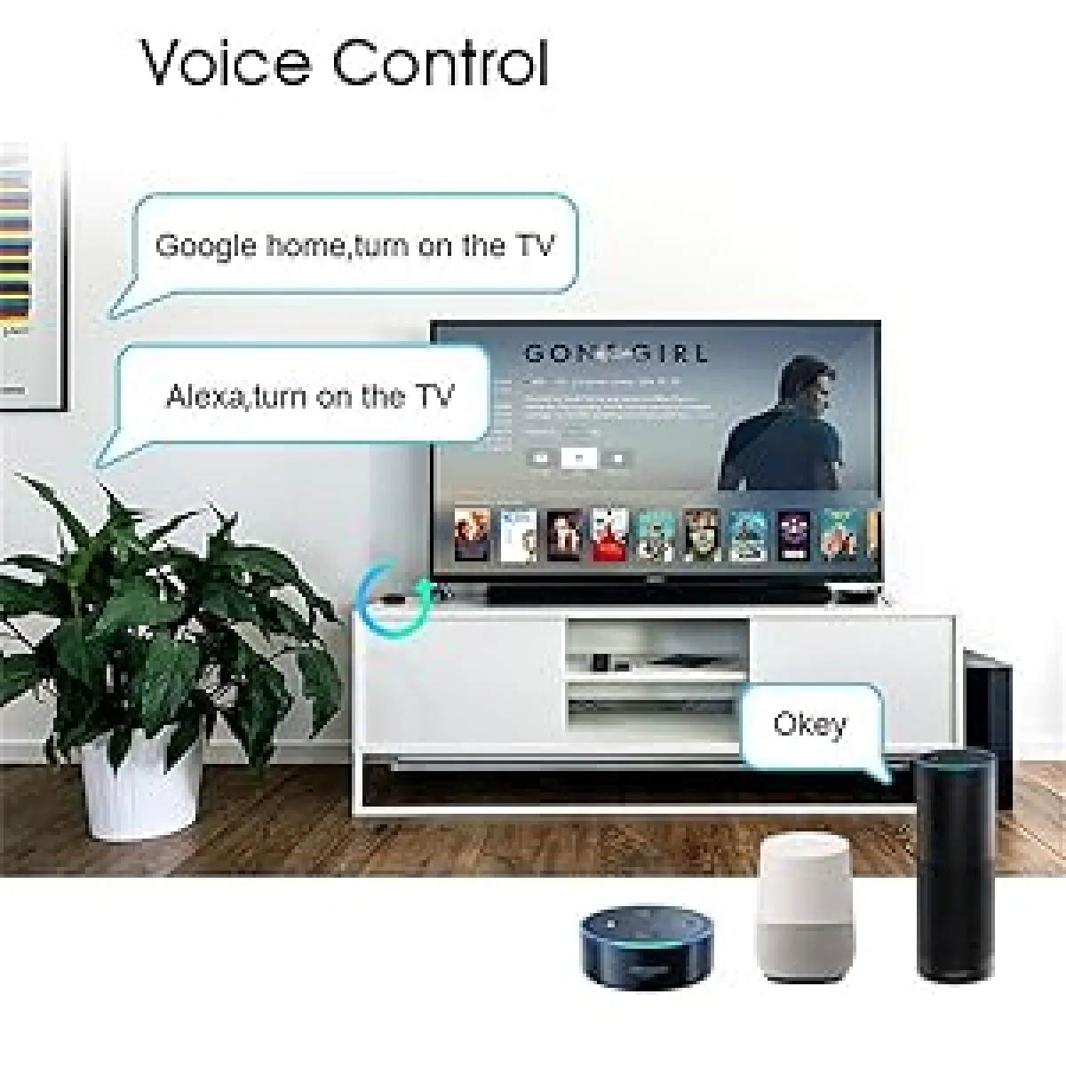 Voice control