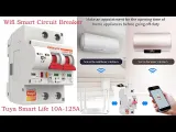 ManHua MK9-125 Motorized Smart Breaker | Tuya 2P 32A WiFi - photo 10