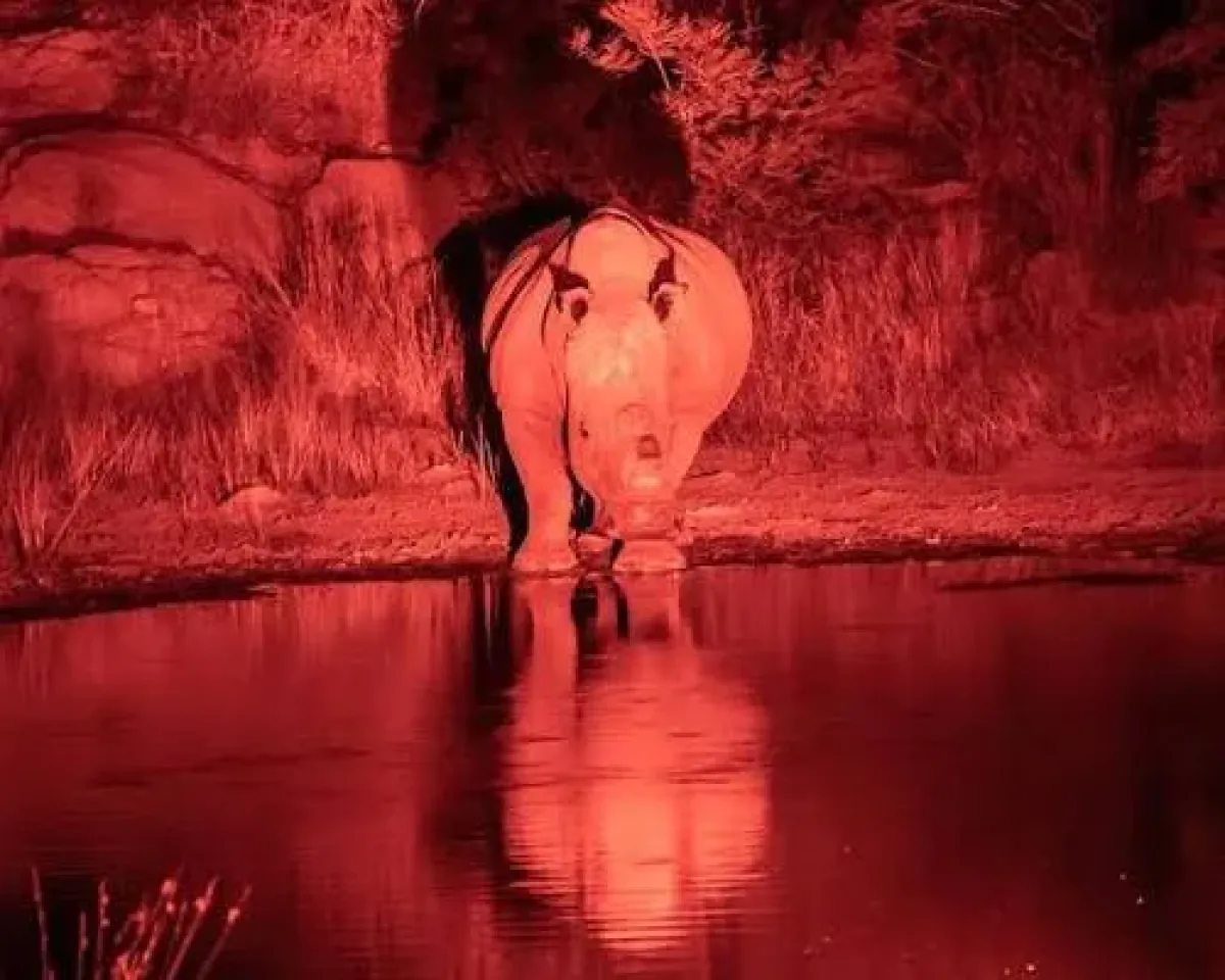 Red Light Torches for Night Game Drives in Kenya